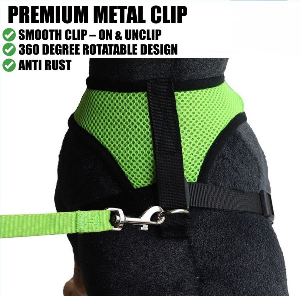 Cute Cat Walking Harness