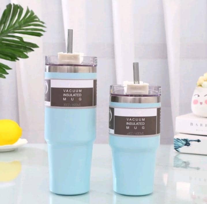 Stainless Steel Flask