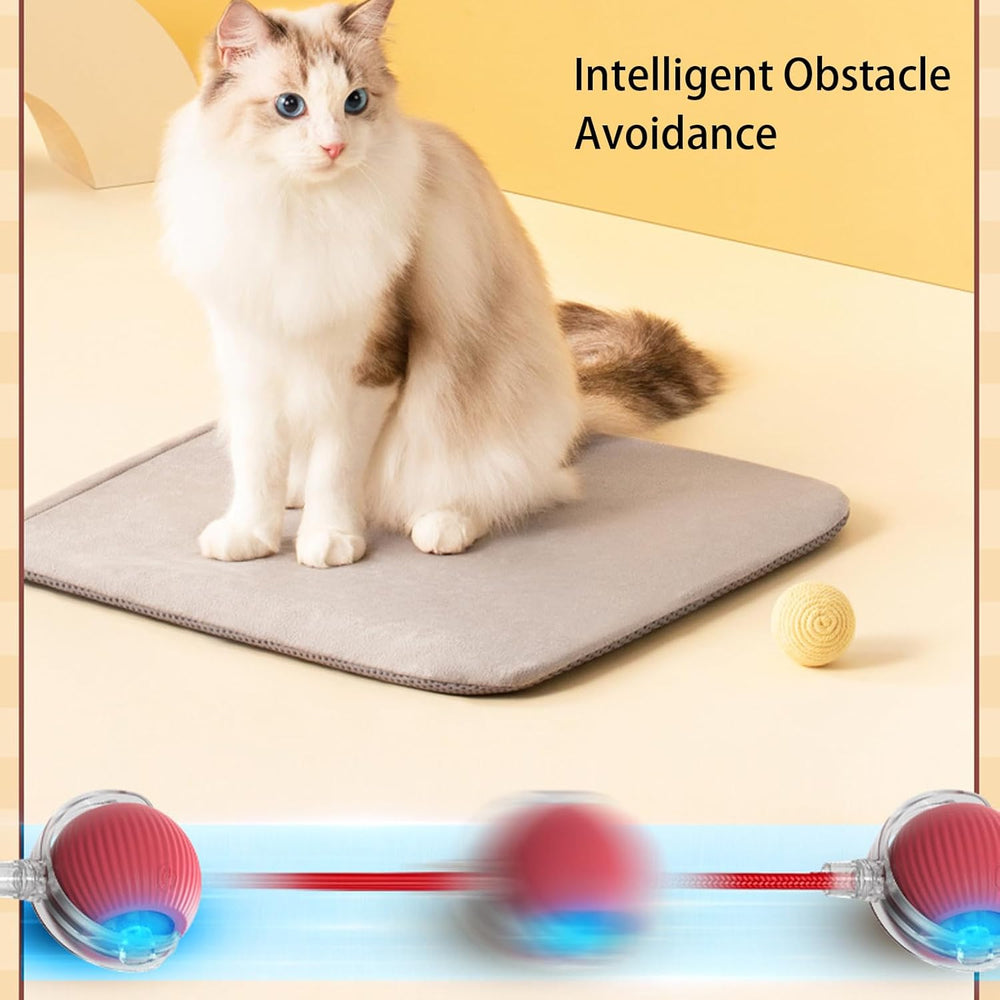 Smart Interactives Cat Rolling Ball