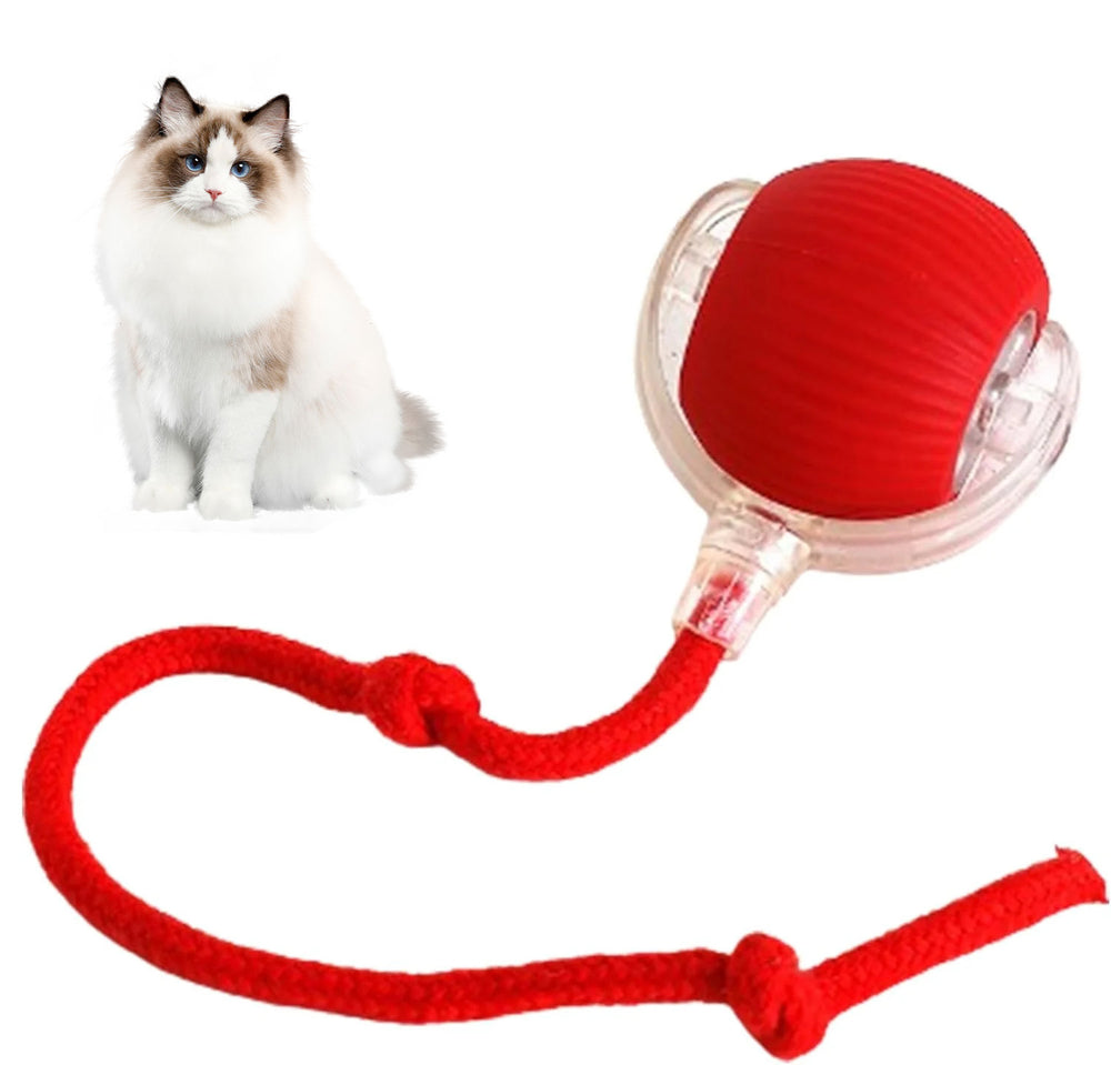Smart Interactives Cat Rolling Ball